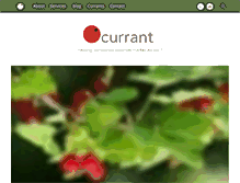 Tablet Screenshot of currantinsights.com